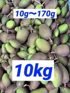 摘果マンゴー8kg 5〜100g訳あり - メルカリ