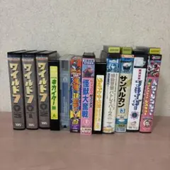 貴重　初版　ゴジラシリーズ　VHSビデオ11本　東宝特撮 貴重 初版 ゴジラシリーズ VHSビデオ11本 東宝特撮 - メルカリ