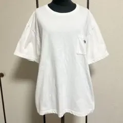 THE NORTH FACE ロゴ刺繍　Tシャツ　サイズL