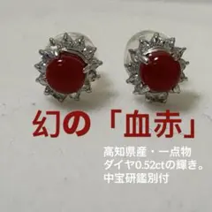 新品・国産血赤サンゴ珊瑚ピアス K18 直径7.5ミリ - メルカリ