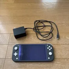 Nintendo Switch Lite グレー　充電器セット