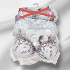 刺繍入り　下着　LLサイズ　ノンワイヤー　ブラジャー　＆　ショーツセット