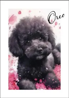 Item thumbnail for item ae634c80-790a-4e46-b332-6af37e448d27