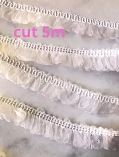 Item thumbnail for item 4e7d1e0d-4de3-4cce-9371-be1be82af58e