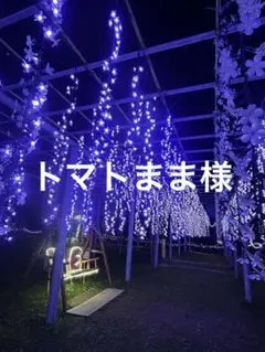 トマトまま様