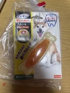 Hartz チューデント 歯みがきおもちゃ ボーン M ベーコンフレーバーのサムネイル
