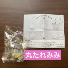 うちの子のけだまだま　犬　丸たれみみ