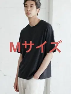 タイムセール！【完売品】アンコキーヌランタンスリーブダンボール