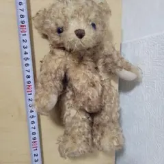 2026年最新】テディベア 生地 モヘアの人気アイテム - メルカリ