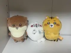 ナガノの虎 ナガノのアザラシ ナガノのカワウソ ナガノくじ