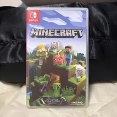 Minecraft Nintendo Switch版