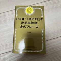 Item thumbnail for item e9bfdde8-7d2e-4489-9809-b6049432fbf5