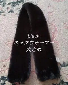 差し込みマフラー