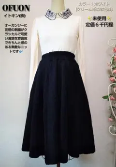 未使用✨森ガール クラシカル オーガンジー刺繍襟 レーヨンニットのサムネイル