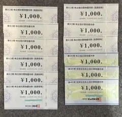 ビックカメラ コジマ 株主優待 計12000円