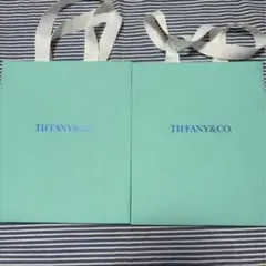 Tiffany & Co. ショップ袋 ティファニー　ブルーバッグ　2枚