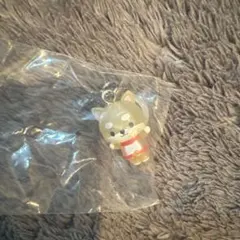 jochum めじるしアクセサリー まめちぃ