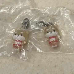 JOCHUM めじるしアクセサリー2 まめちぃ 2セット