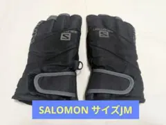 スキーグローブ