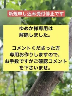 ゆめか様専用青梅5㎏　5月中旬以降発送　山梨県産