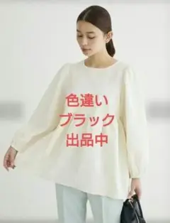 ドレスキップ　シュガースプーン　グローバルワーク　トップス　ペプラム　長袖