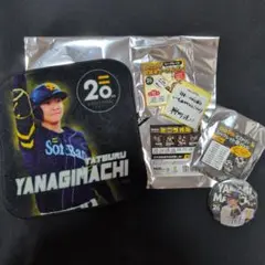福岡ソフトバンクホークス 柳町達 缶バッジ - メルカリ