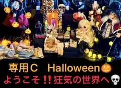 C 写真20枚１セットA4サイズの写真用光沢紙にてコピーします。