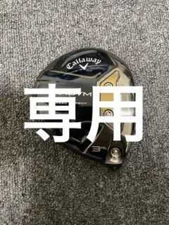 Item thumbnail for item 8b06db1c-de66-4f13-948a-c32c551d8dd9