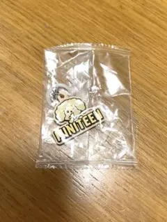 MINITEEN ドギョム　ドア　めじるしアクセサリー