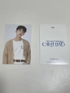 SEVENTEEN CARAT LAND 055 JOSHUA 2枚セット