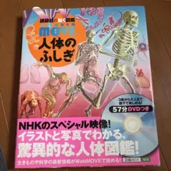 人体のふしぎ