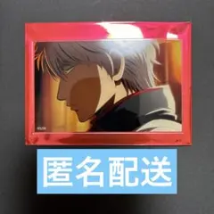 新劇場版 銀魂 吉原大炎上 トレーディングアクリルカード 坂田銀時