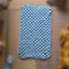 Item thumbnail for item f7231caf-dfb2-4fc8-8591-479f9956f127