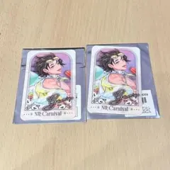 NU:カーニバル カラオケの鉄人 トレーディングビジュアルカード ガル