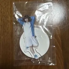 テニミュ ドリライ アクスタ 向日岳人 小辻庵　テニプリ