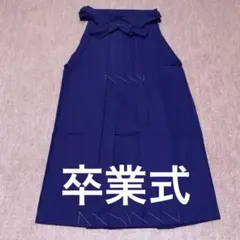 Item thumbnail for item efa0d866-12ed-431d-8f5b-a217b02a19b0