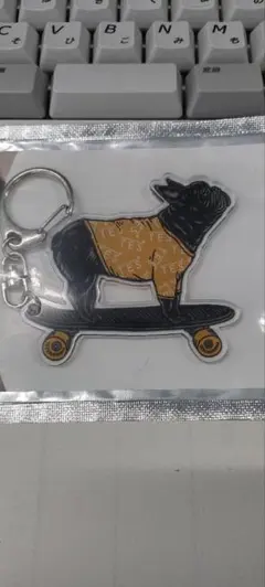 TES THE ENDLESS SUMMER キーホルダー