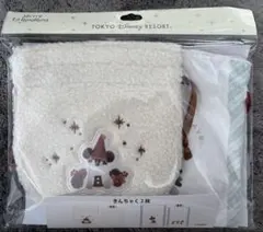 ディズニークリスマス2025 きんちゃくセットです ♡