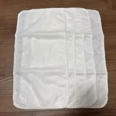 Item thumbnail for item 49f3a974-218b-4c0b-9afa-4cbbdfa31753