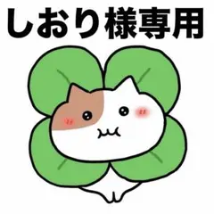 しおり様専用 アイドルグッズ