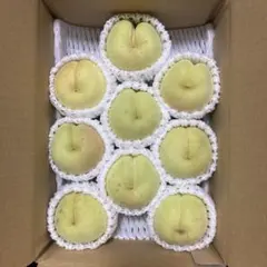 岡山産　白桃　冬桃　9玉