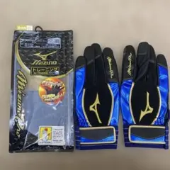 Item thumbnail for item 62e4160d-2bcf-4bd9-970f-9556c2c27924