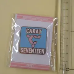 CARAT SEVENTEEN ピンバッジ