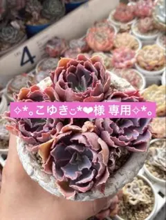 こゆき◡̈*❤︎様 リクエスト 4点 まとめ商品