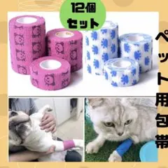 Item thumbnail for item 57c11daf-32c9-4943-a59c-be3f3377fee3