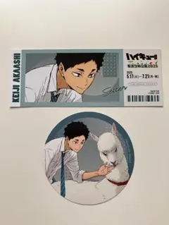 ハイキュー!! 東武動物公園 レプリカチケット コースター 赤葦 京治