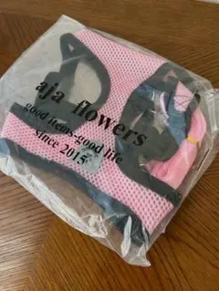 Item thumbnail for item c4e933c6-5b86-4917-ba69-729eff51e7bd