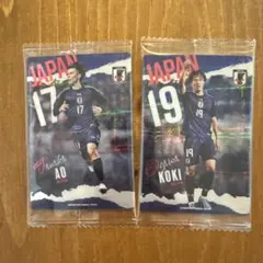 サッカー日本代表 田中碧 小川航基 トレーディングカード