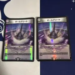 オールデリート 2枚セット