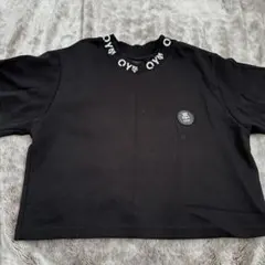 ta様 リクエスト 2点 まとめ商品